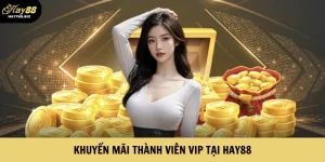 Khuyến Mãi Thành Viên VIP Tại Hay88 – Đặc Quyền Đỉnh Cao